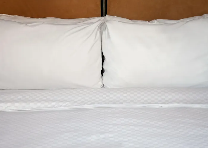 Four Points By Sheraton Hotel Buffalo Grove
