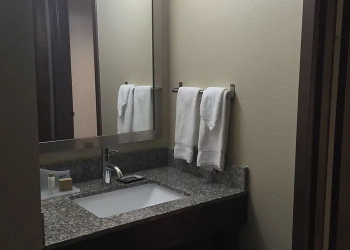 Hotel Four Points By Sheraton Buffalo Grove
